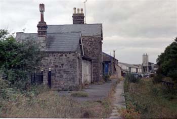 SouthMolton 1982